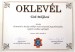 19. Bocskai év